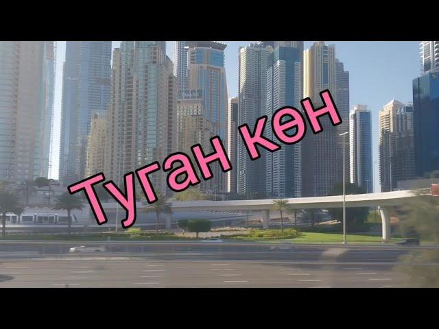 Туган көн. Татарский по песням. С днём рождения!