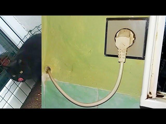 Grandma's house - construction fails, electrical oddities and 7 CATS!