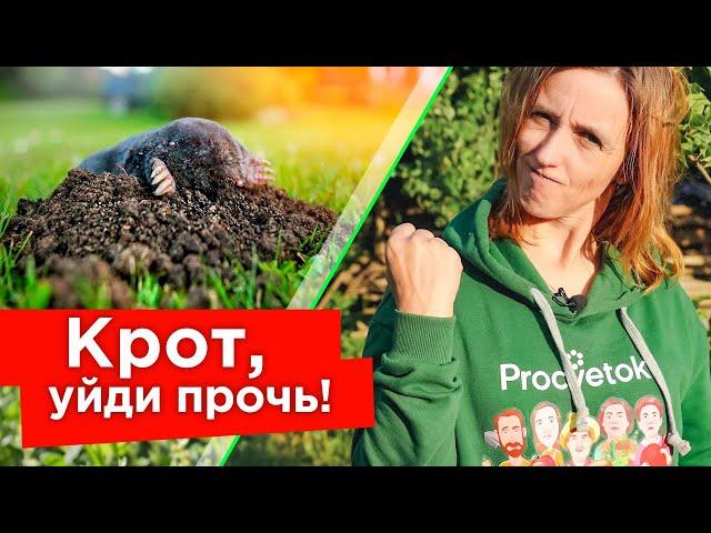 КРОТЫ УБЕГУТ БЕЗ ОГЛЯДКИ И БОЛЬШЕ НЕ ВЕРНУТСЯ! 5 эффективных способов борьбы с кротами