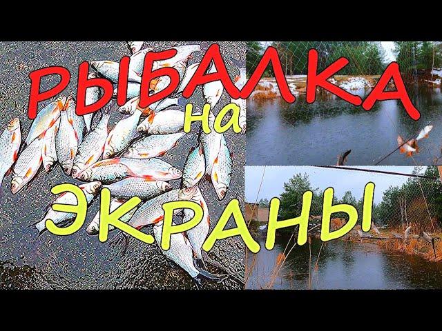 Удачная рыбалка на ЭКРАНЫ-ТЕЛЕВИЗОРЫ ранней весной.