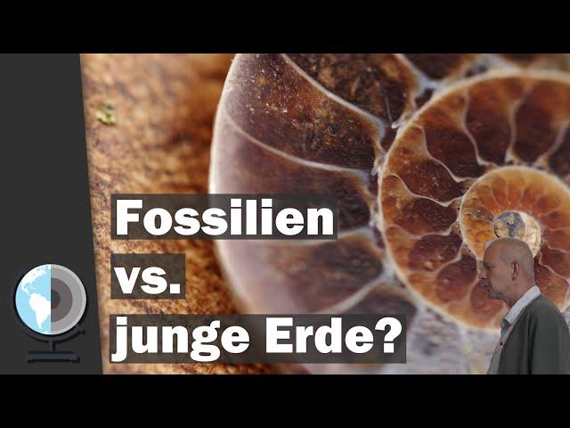 Fossilien vs. Junge Erde? Erdgeschichte im Zeitraffer | Rehe 2023 | Dr. S. Drüeke