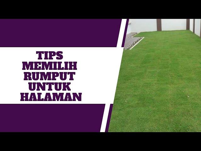 Tips Memilih Rumput Untuk Halaman Kediaman #landskap gardening