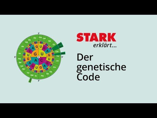 Der Genetische Code | STARK erklärt