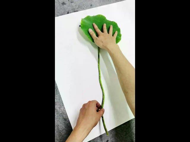 花开自有赏花人,唯有花看人自知。#荷花 #艺术在抖音 #国画#墨轩子 #禅画 #国画 #禅意生活