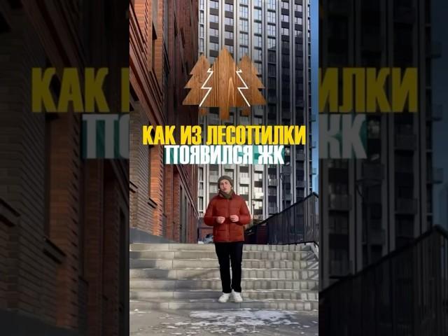 ЖК ЧЕРНЫШЕВСКИЙ - ПОЧЕМУ ТАК НАЗВАЛИ | 8-913-765-07-13 #новосибирск #новостройкиновосибирск