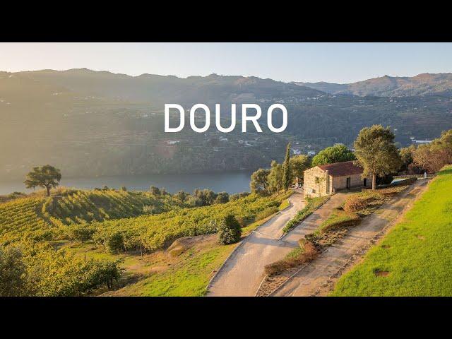 The Douro Valley Portugal | 4K