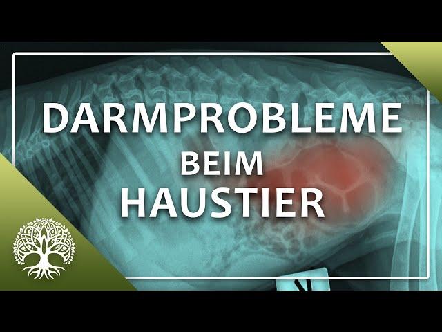 Darmprobleme bei Hund und Katze – Dr. Jutta Ziegler & Dirk Schrader