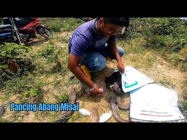 Strike bagi penuh box Givi | Mancing ikan di Sungai Langat