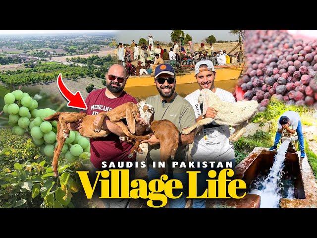 Enjoying Village Life in Pakistan  Falsay aur Mango kay Baagh | Nasser ko mili Saza 