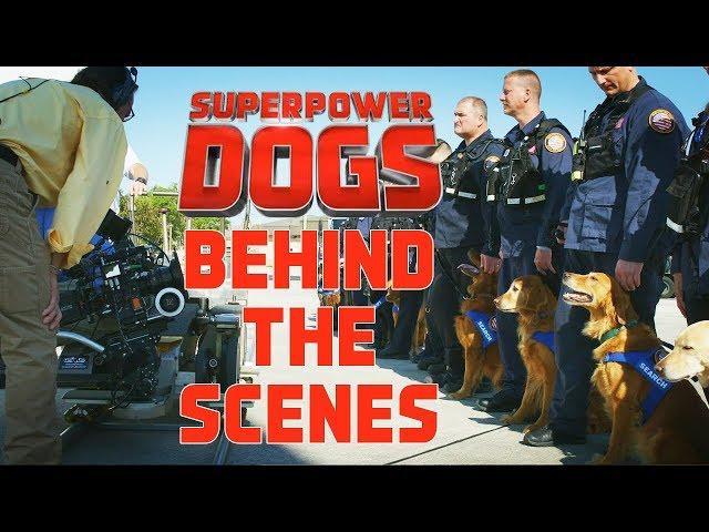 Filming Cosmic Picture’s 3D IMAX original movie: Superpower Dogs