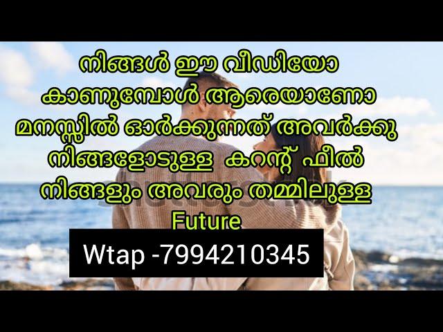 നിങ്ങൾ ഈ വീഡിയോ കാണുമ്പോൾ ആരെയാണോ മനസ്സിൽ ഓർക്കുന്നത് അവർക്കു നിങ്ങളോടുള്ള കറന്റ്‌ ഫീൽ and future