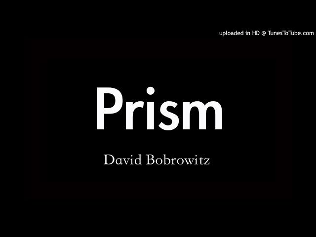 Prism-David Bobrowitz