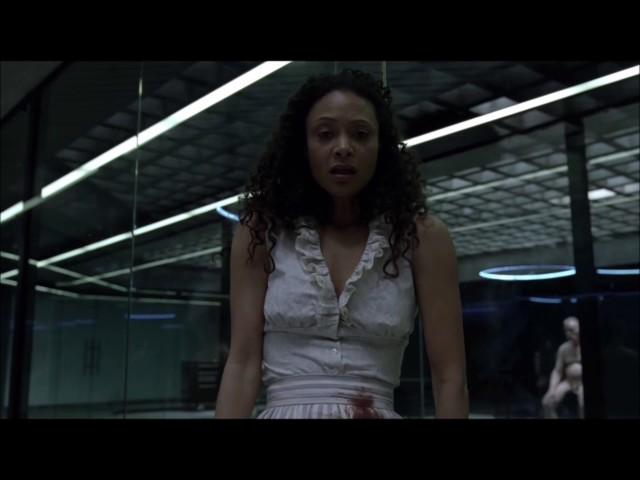 Thandie Newton (Westworld)