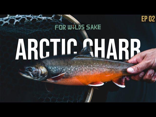 THE QUEST TO CATCH MAINE'S RAREST FISH || For Wild's Sake: The Rare Trout Chronicles | Episode 2