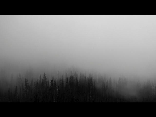 [DARK, MYSTERIOUS, THRILLER MUSIC] - MURDER IN THE MOUNTAINS - 2024