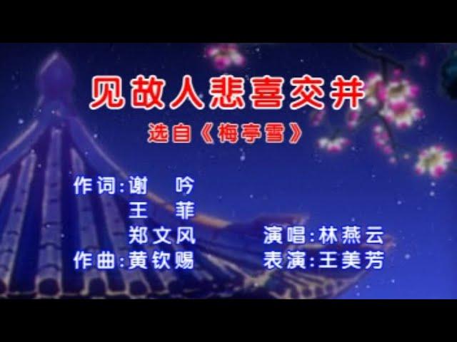 Teohew Karaoke 潮剧选段 《见故人我悲喜交并》music