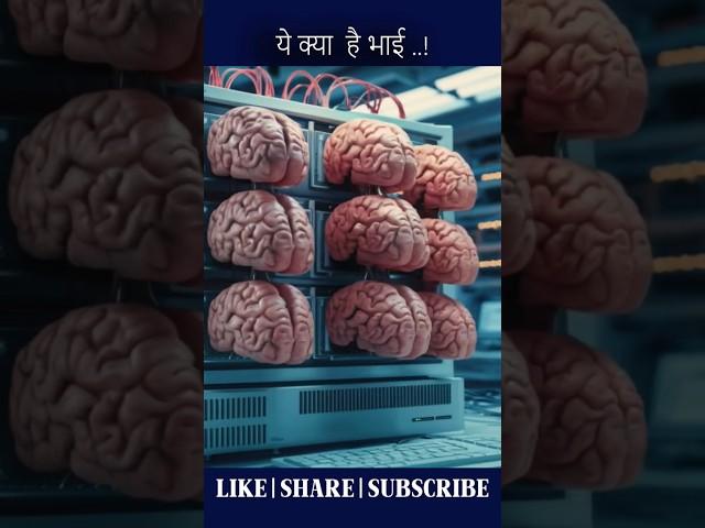 Artificially grown mini-brains!#facts #youtubeshorts #shortvideo #brain