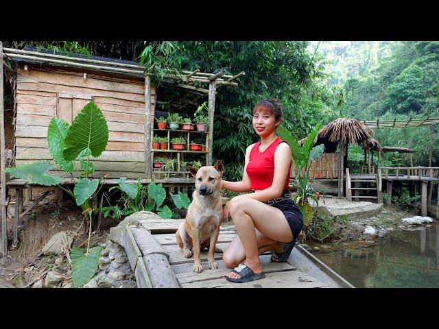 365 Day Living Off Grid | Build a promising garden with vegetables and fruits | Ana Bushcraft