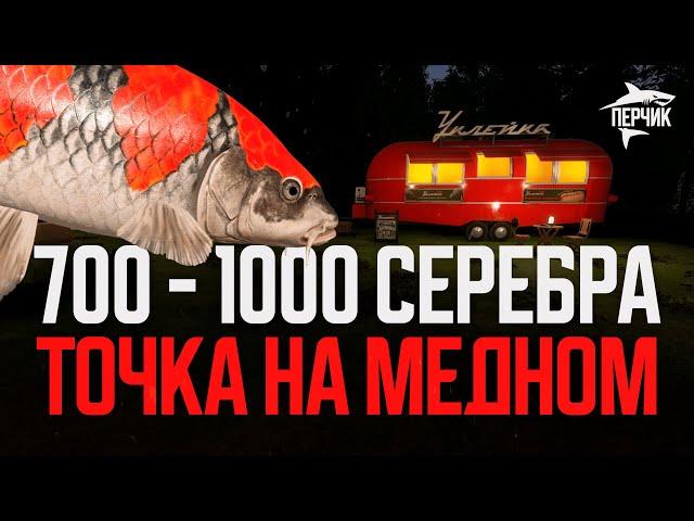 Фарм точка на медном: 700 - 1000 серебра ● Русская рыбалка 4 ● Перчик РР4