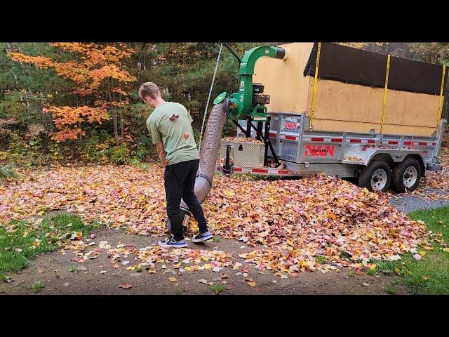 Vacuuming Leaves With the Billy Goat 18hp Debris Loader