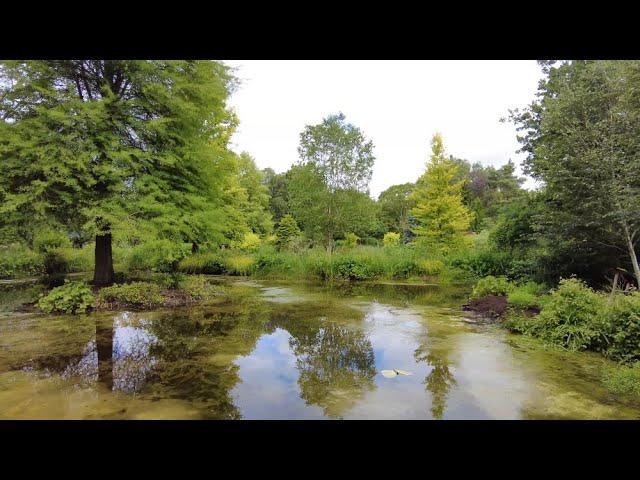 Walking Around Foggy Bottom at Bressingham Gardens in Norfolk