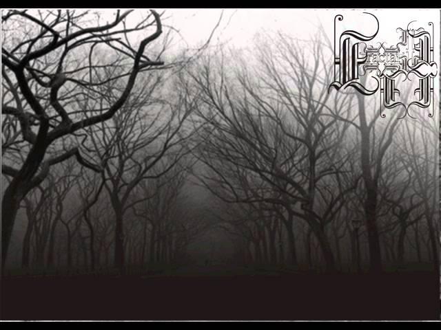 Fractal -  Long and cold journey