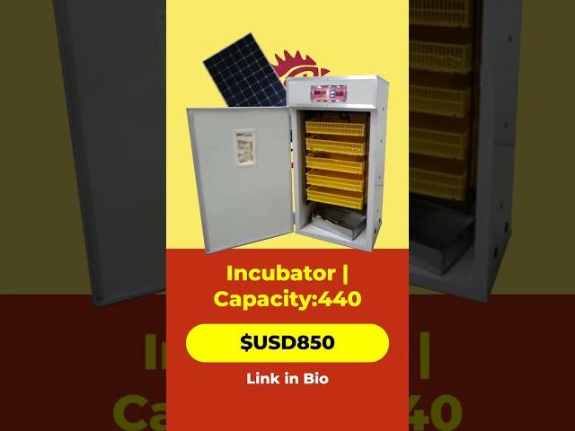 Ultimate Egg Incubator for Large-Scale Hatching