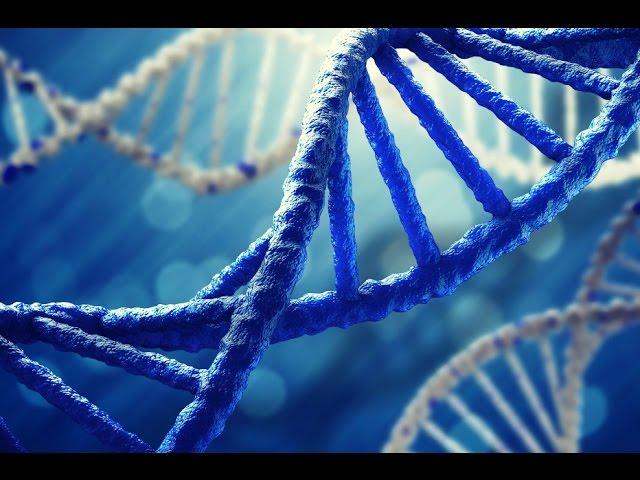 DNA Science - Human Race and Genetics Documentary