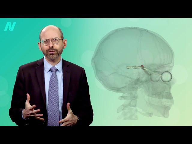 How to Sync Your Central Circadian Clock to Your Peripheral Clocks