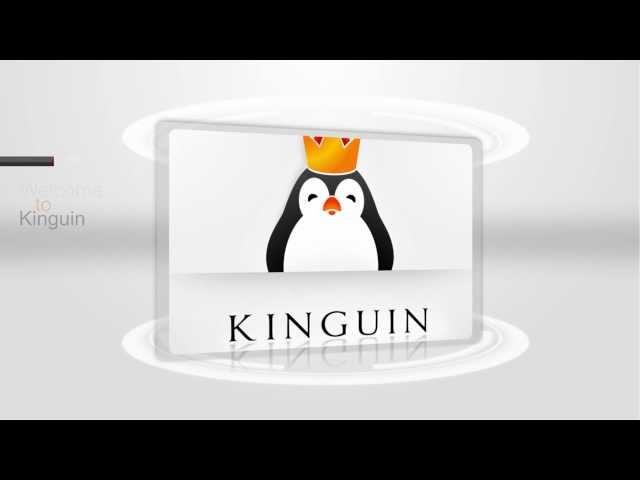 Welcome to Kinguin.net!