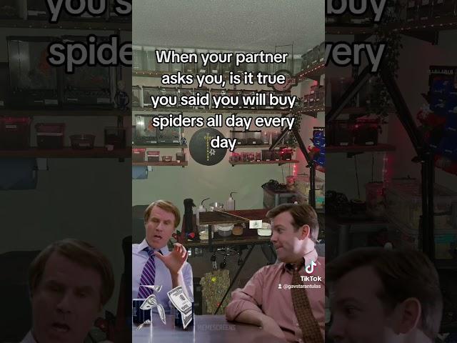 I may have #fypage #funny #spider #tarantula #unboxing #fypyoutube #delivery