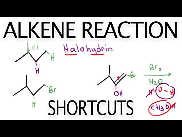 Alkene Reaction Shortcuts and Products Overview by Leah Fisch