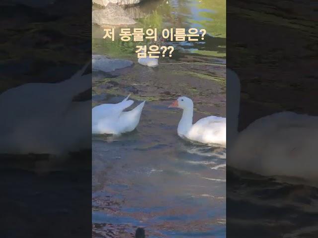 평택 농업기술센터 #토실토실  #소담스럽다  #연못속에서 #평택우리의료기 #복지용구