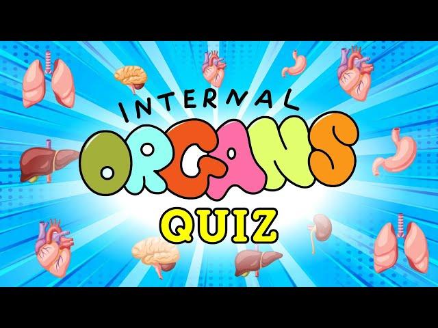 Human Organs Quiz for Kids | Internal Organs of the Human Body and Their Functions
