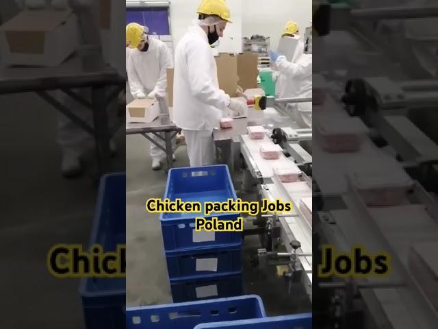 Chicken Packing Jobs Poland, Packing helper jobs Poland,