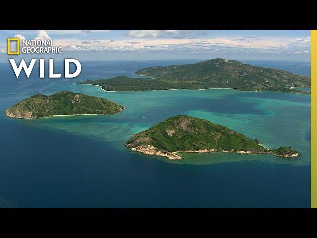 How the Great Barrier Reef Formed | Great Barrier Reef