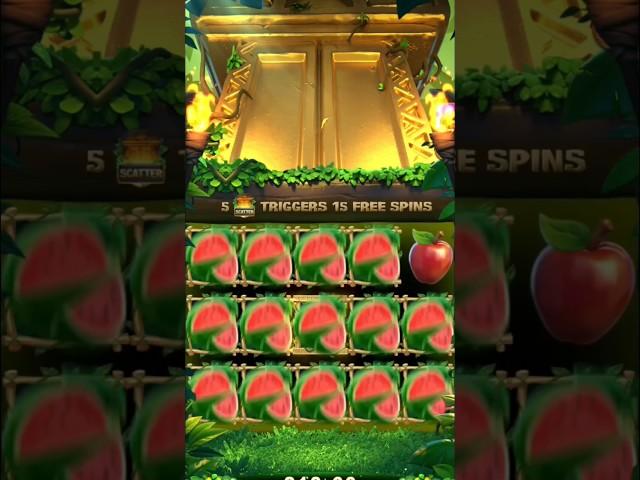 #yonorummy jungle delight #yonorummy #slot #yonorummygame #yonorummyshorts#yonorummywinningtricks