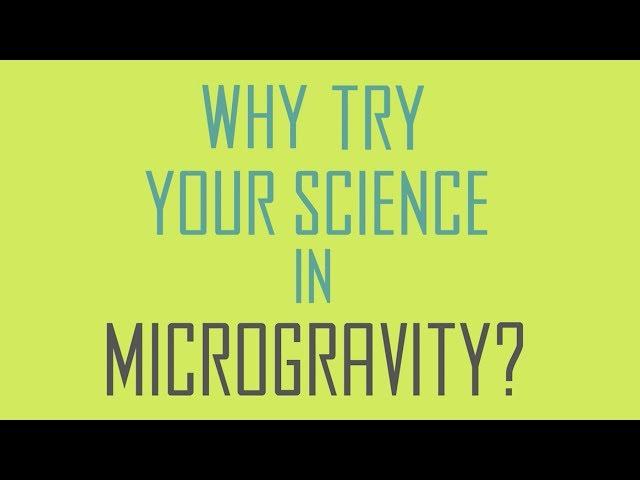 Why Try Science in Microgravity