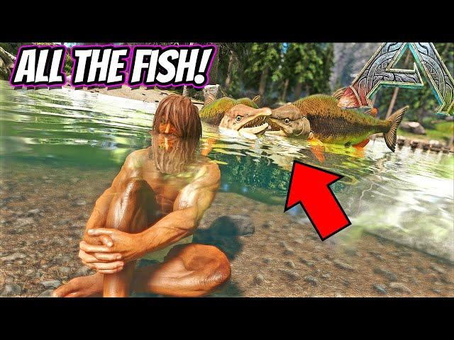 BEST LOCATION ON FJORDUR TO GET SABERTOOTH SALMON FOR SHADOWMANES!! || Ark Fjordur!