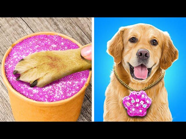 My Dog Is The Best!  Cool Hacks, Easy Gadgets & Fun DIYs For Your Furry Friend