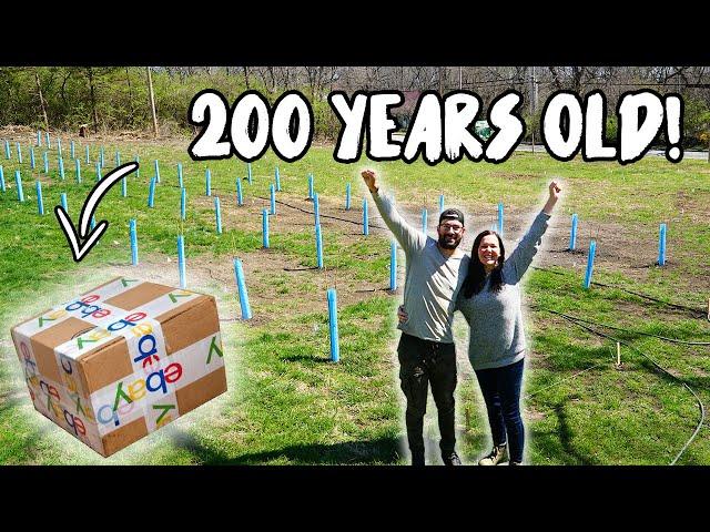 We Bought AMERICA'S OLDEST GRAPES from EBAY and PLANTED A VINEYARD!