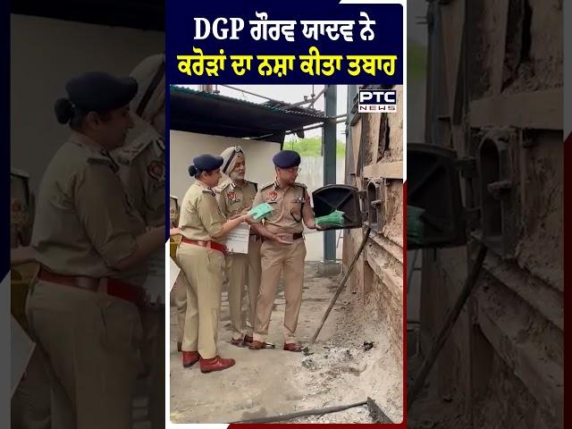 ਡੇਰਾ ਬੱਸੀ 'ਚ ਪੰਜਾਬ ਦੇ DGP ਗੌਰਵ ਯਾਦਵ ਨੇ ਕਰੋੜਾਂ ਦਾ ਨਸ਼ਾ ਕੀਤਾ ਨਸ਼ਟ