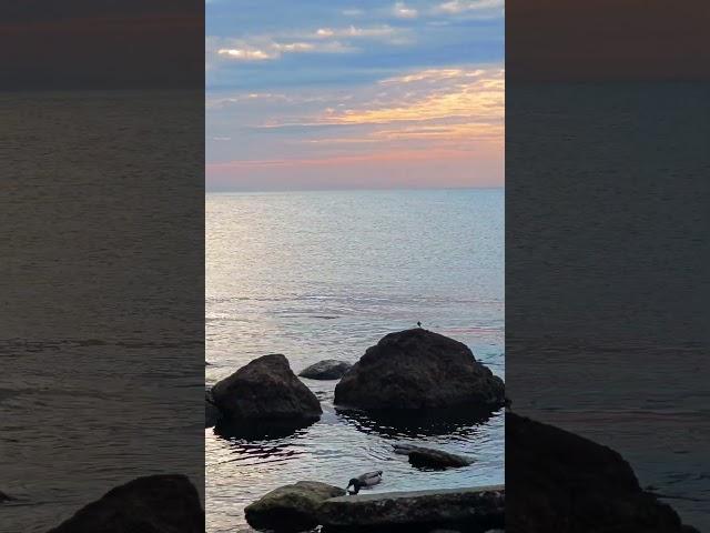 Релакс морем, красота природы и мысли вслух ️N