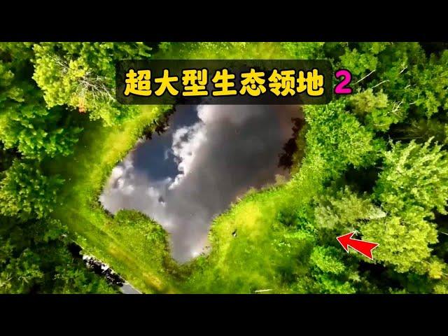 历时五年，打造12万平方米的“生态领地”（春天来了！）