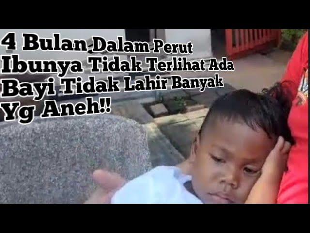 Anak Ajaib Dari Sulawesi Datang Ke Bali