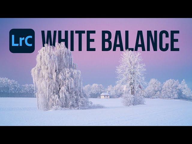 Set the PERFECT WHITE BALANCE with this LIGHTROOM TRICK