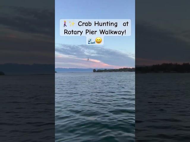 Crab Hunting  at Rotary Pier Walkway, Vancouver Island, Canada.