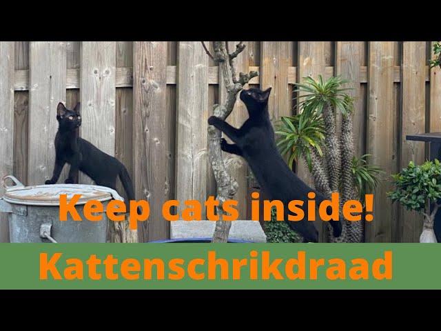 Veilig uw katten in de tuin | Schrikdraad Online