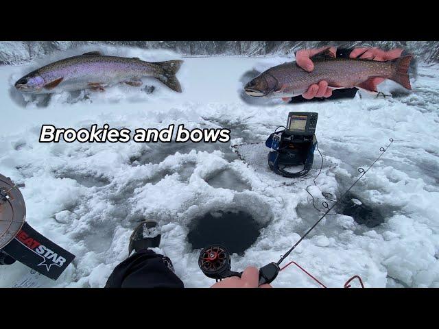 First Ice Brook Trout and Rainbow Trout (Thin Ice)