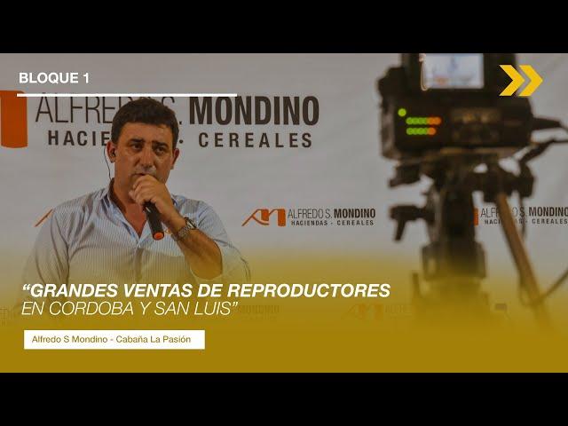 “GRANDES VENTAS DE REPRODUCTORES EN CORDOBA Y SAN LUIS”